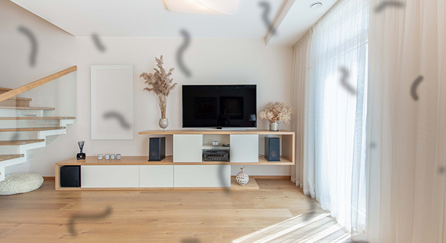 eye floaters in living room